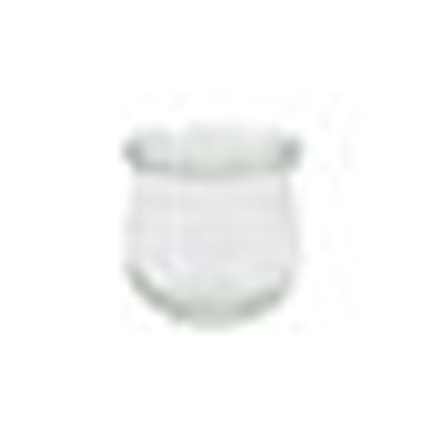 Weck-Mini-Tulpenglas 75 ml, Ø 4,0 cm, Höhe 5,5 cm